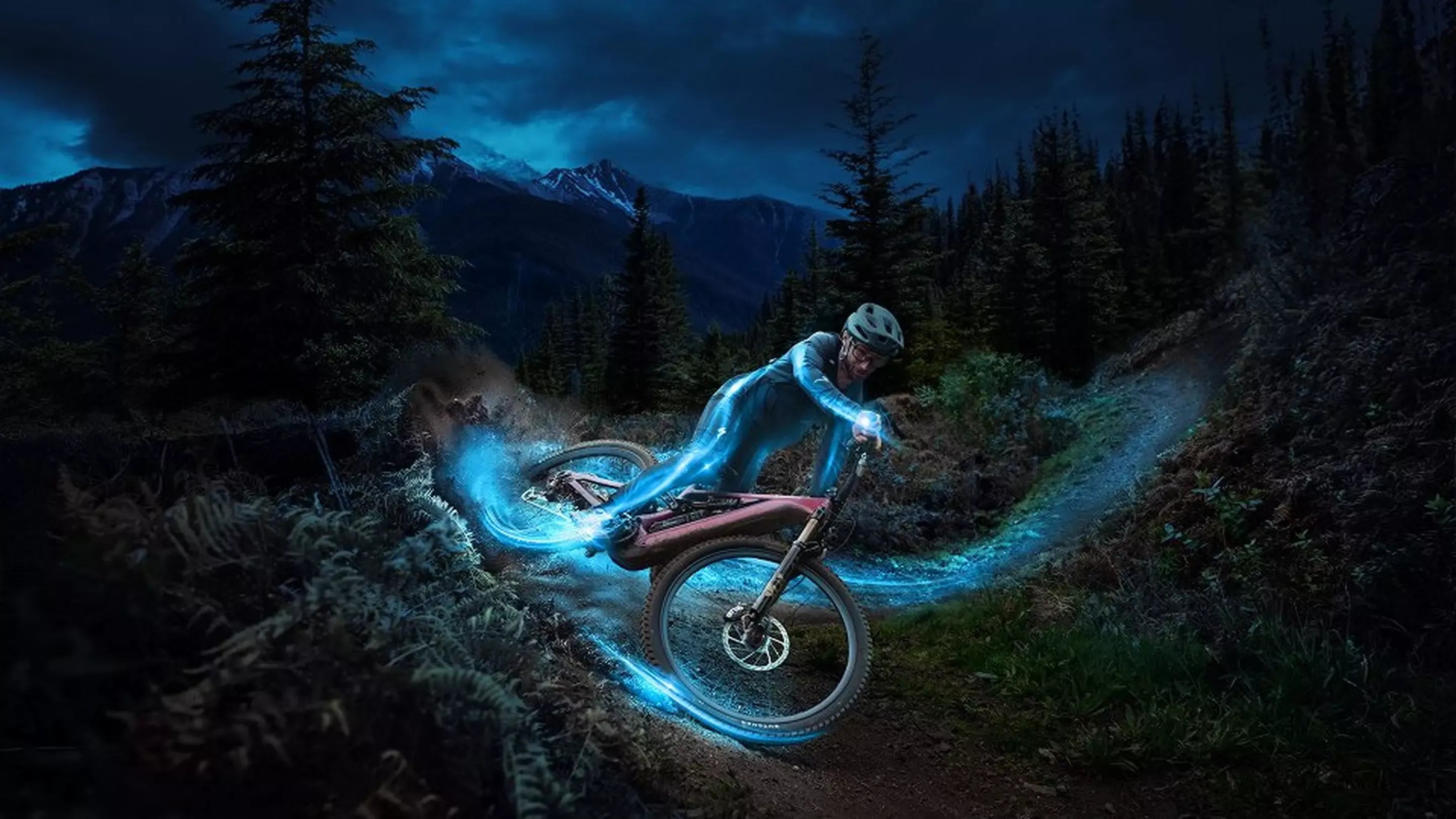 Specialized Levo 4  |  Sunshine Coast