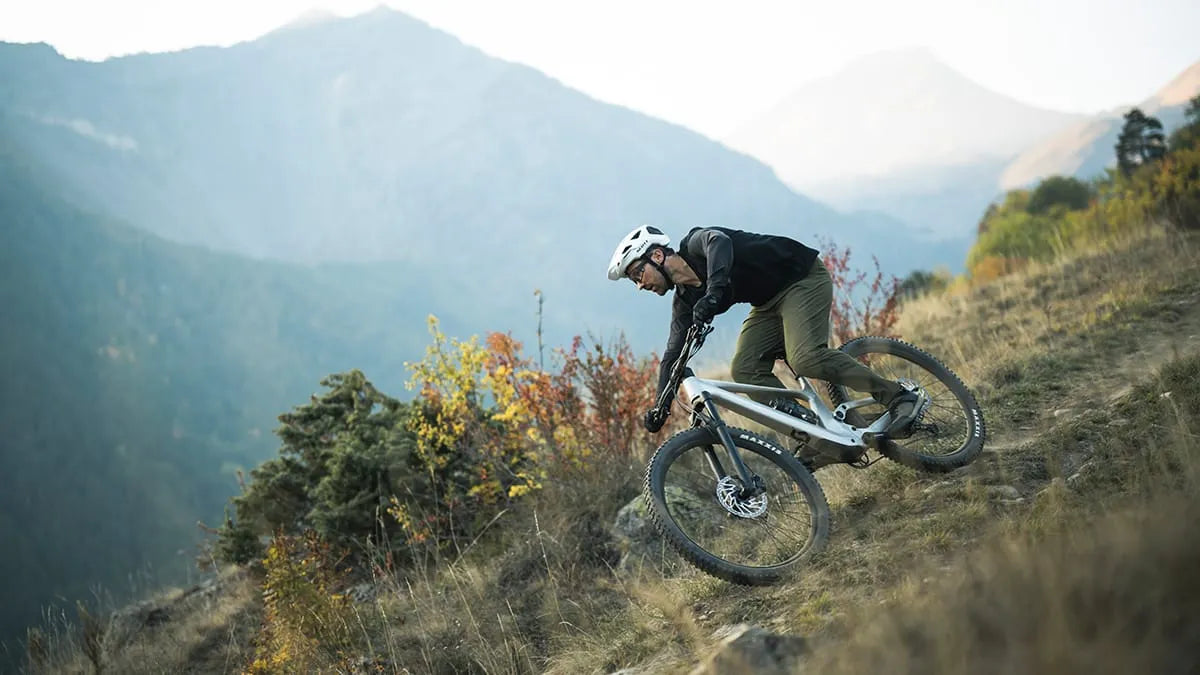 Scott Genius 940 Mountain Bike